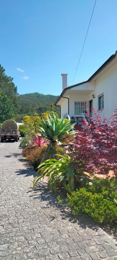 Afife "Porta Da Alegria" Villa Виана до Кастело Екстериор снимка